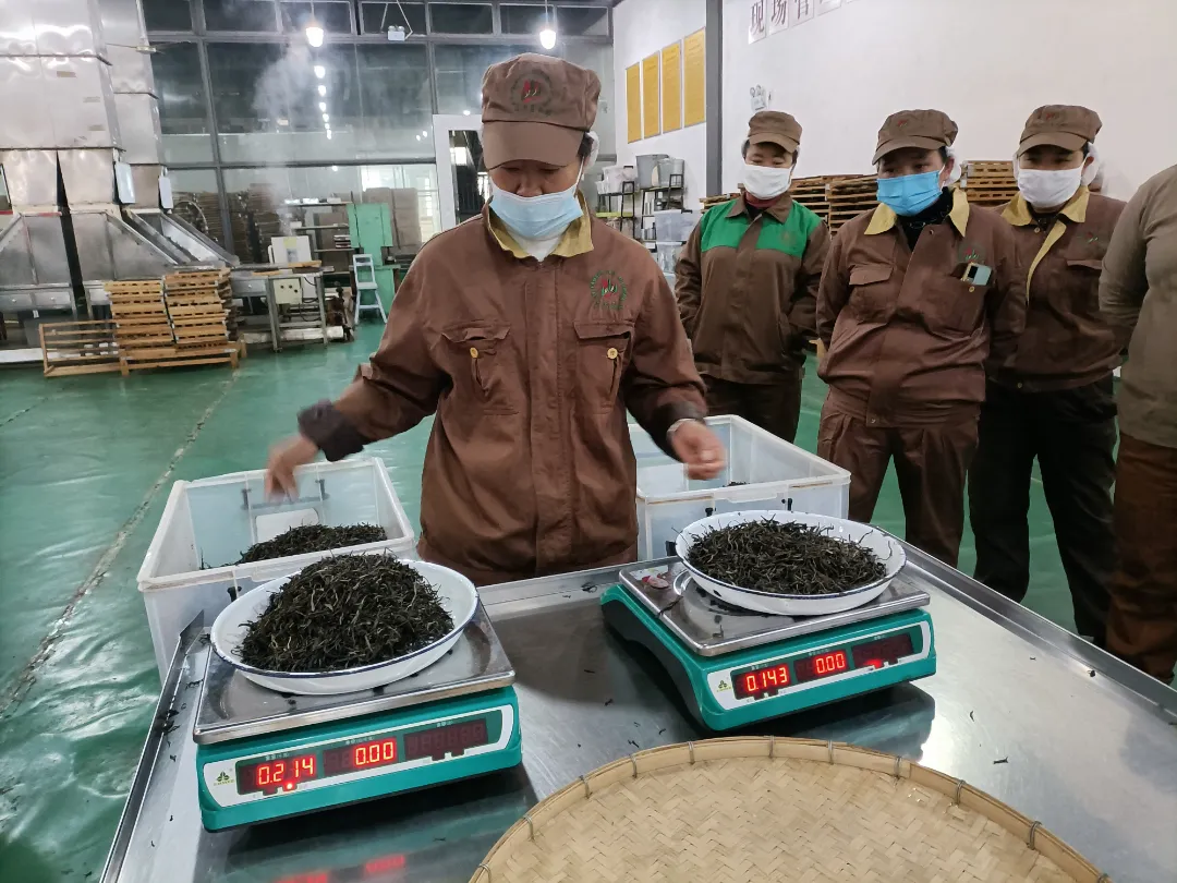 精益求精&middot;鑄造品質(zhì)｜六大茶山第十四屆技術(shù)大比武圓滿完成